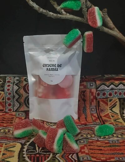 Wax melts chuche de sandía