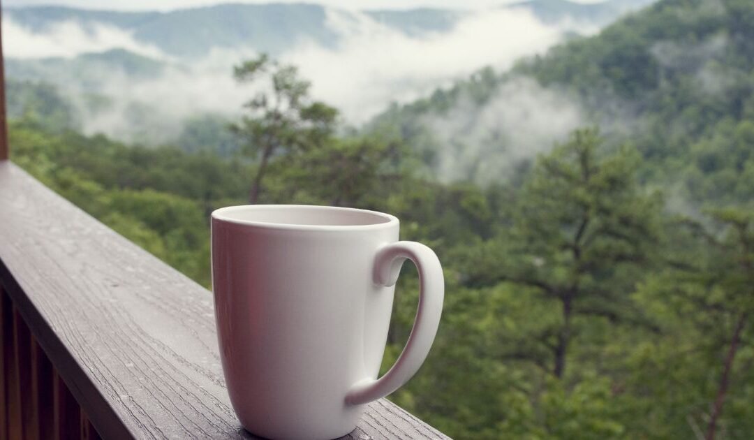 Vela Aromática Espresso Martini ☕🍸 – Un Aroma Sofisticado para Tu Hogar